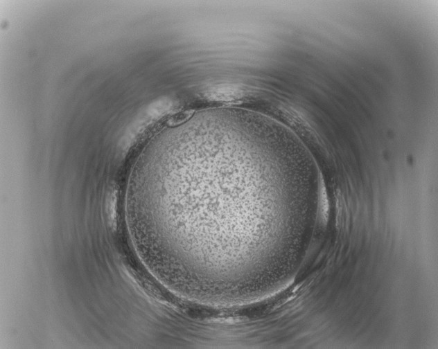 X0000056000404200508261755