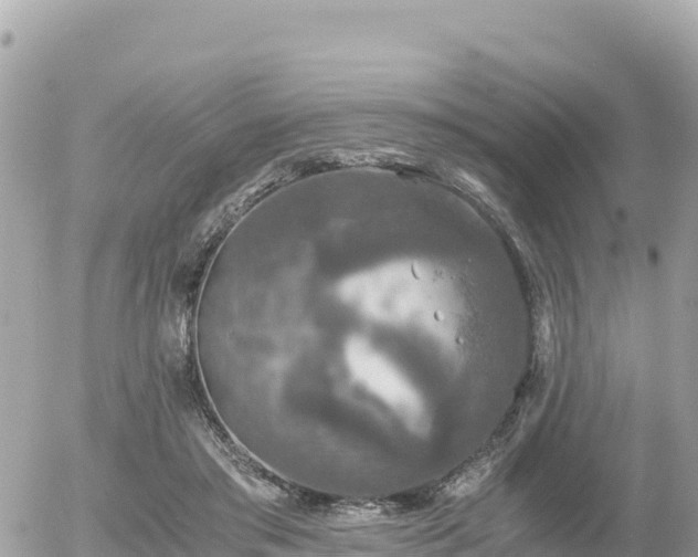 X0000056000405200508261755