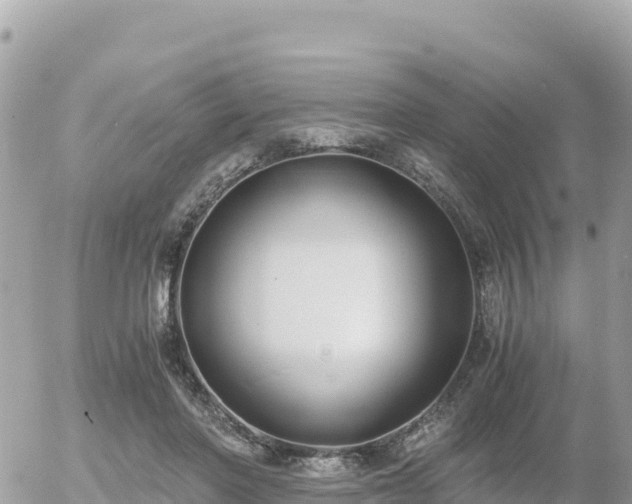 X0000056000406200508261755