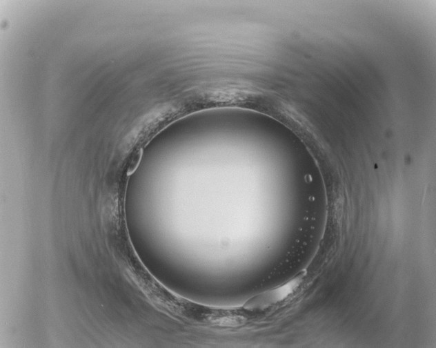 X0000056000407200508261755