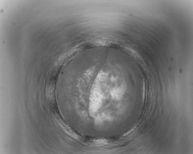 X0000056000409200508261755