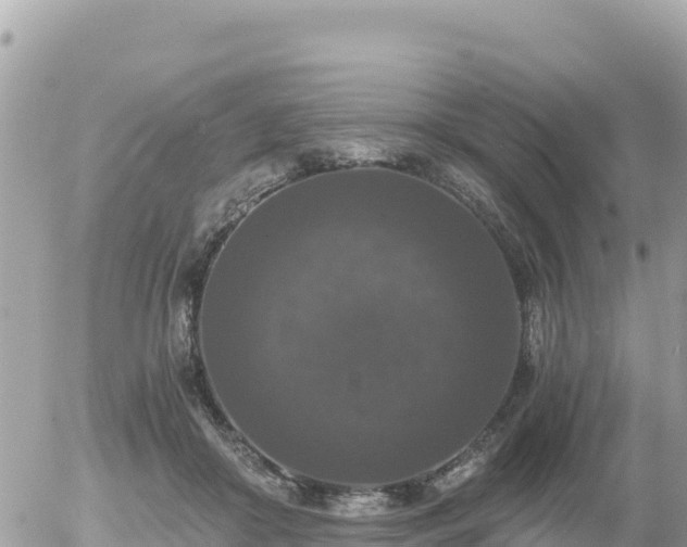 X0000056000410200508261755