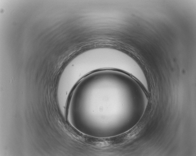 X0000056000411200508261755