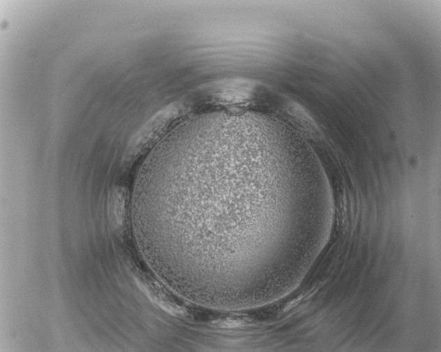 X0000056000412200508261755