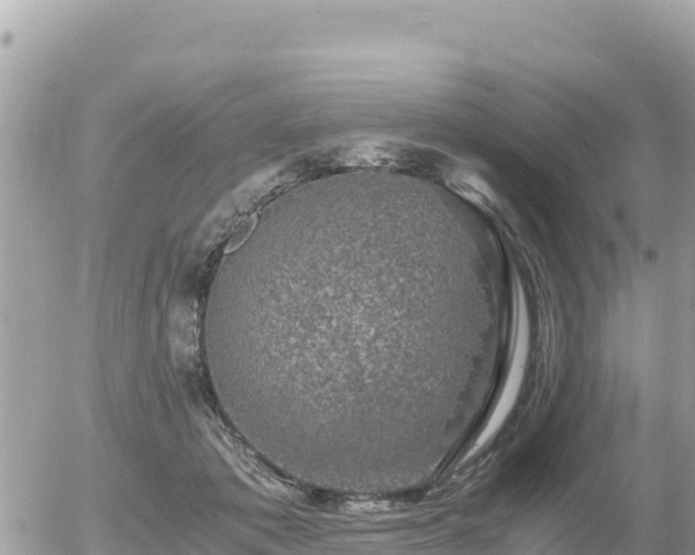 X0000056000413200508261755