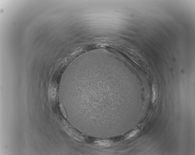 X0000056000417200508261754