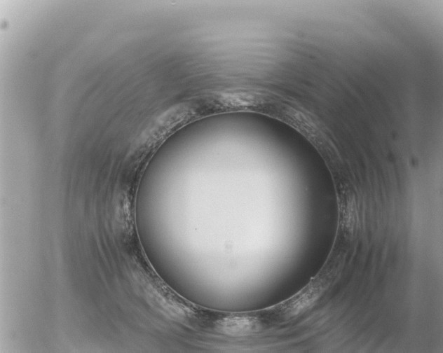 X0000056000418200508261754