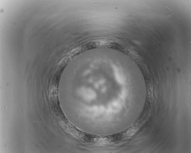 X0000056000419200508261754