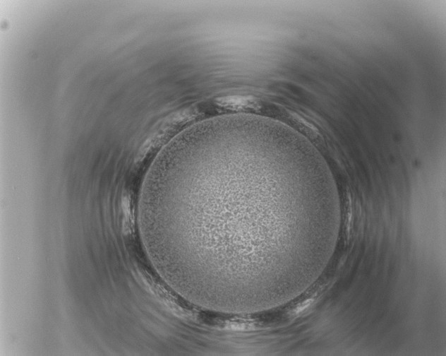 X0000056000420200508261754