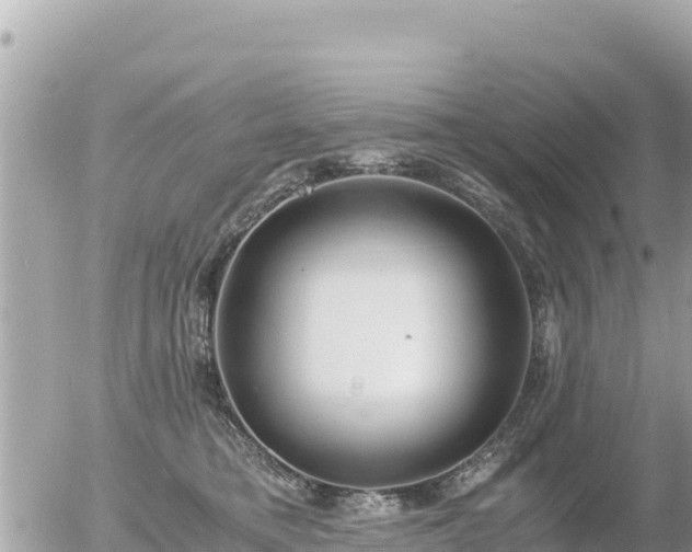 X0000056000421200508261754