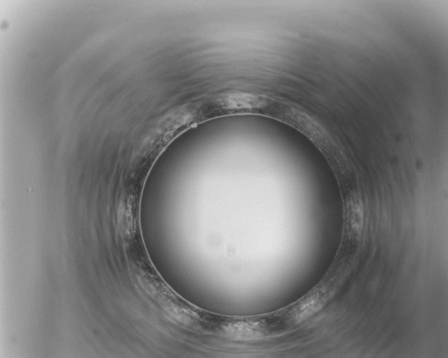 X0000056000422200508261754