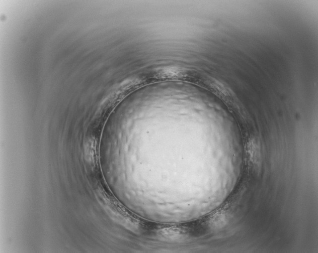 X0000056000423200508261754