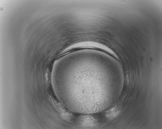 X0000056000424200508261754