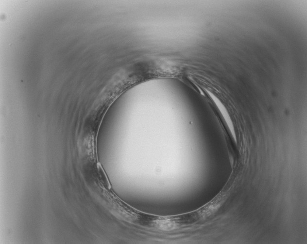 X0000056000425200508261754