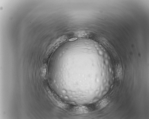 X0000056000427200508261754