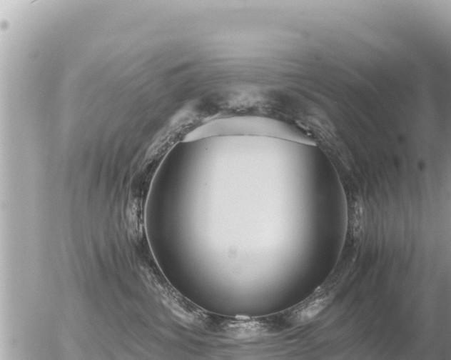 X0000056000428200508261754