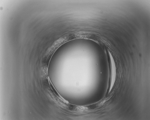 X0000056000429200508261754