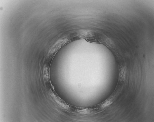 X0000056000430200508261754