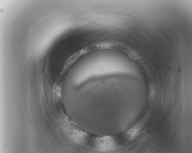 X0000056000431200508261754