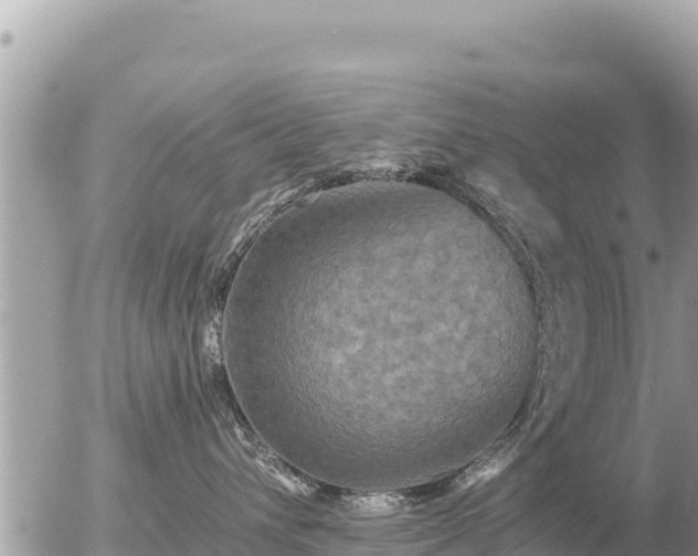 X0000056000432200508261754