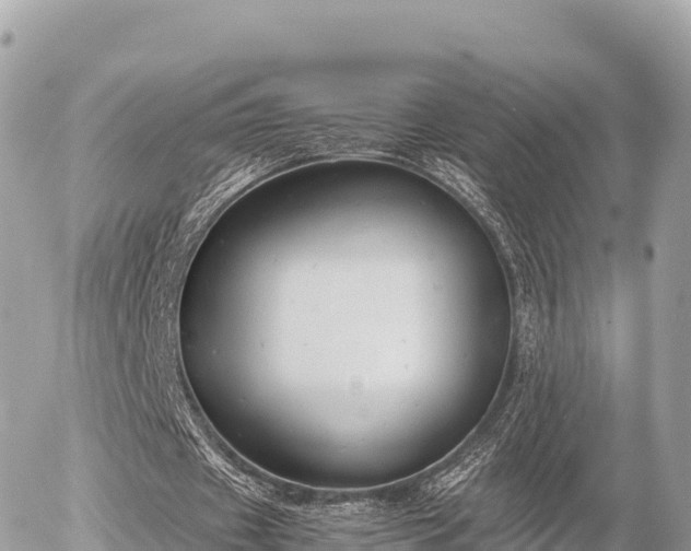 X0000056000433200508261753