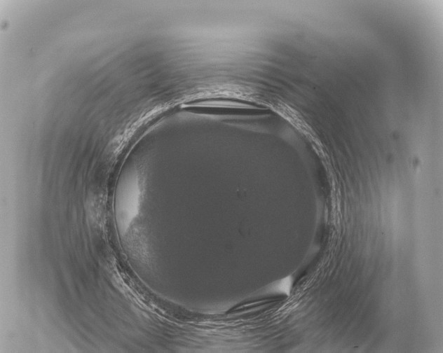 X0000056000434200508261753