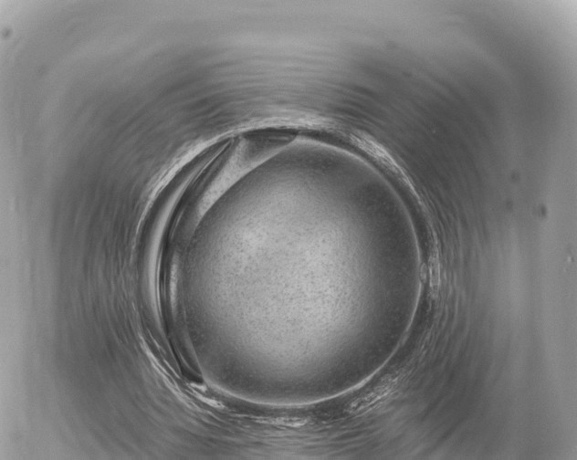 X0000056000436200508261754