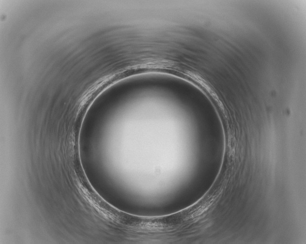 X0000056000437200508261754