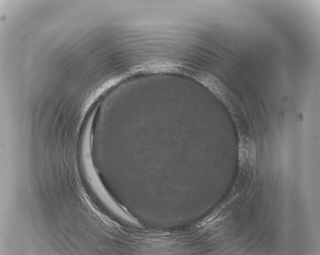 X0000056000438200508261754