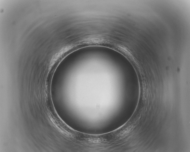 X0000056000439200508261754