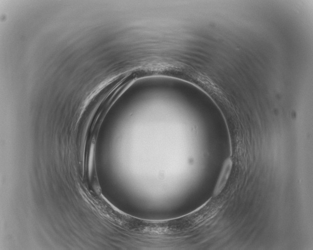 X0000056000440200508261754