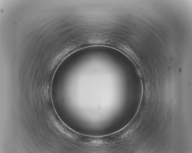 X0000056000441200508261754