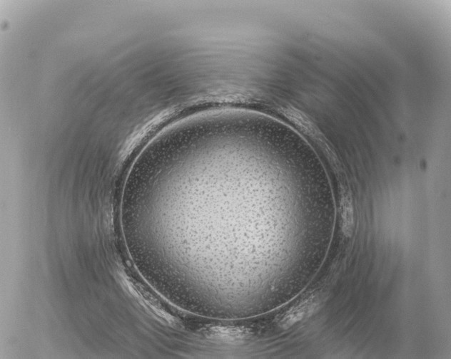 X0000056000442200508261754