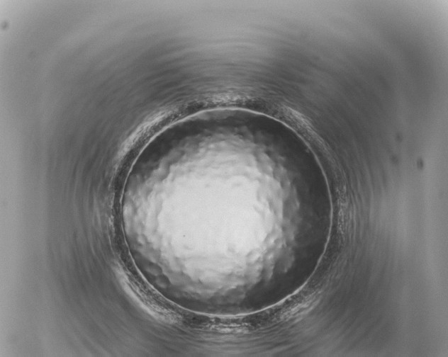 X0000056000443200508261754