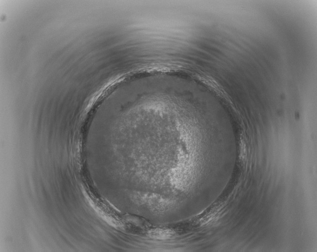 X0000056000444200508261754