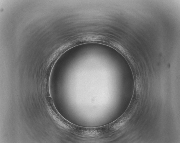 X0000056000445200508261754