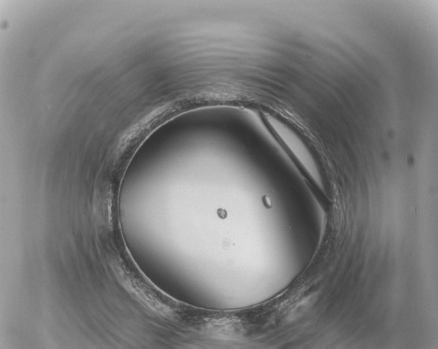 X0000056000446200508261754