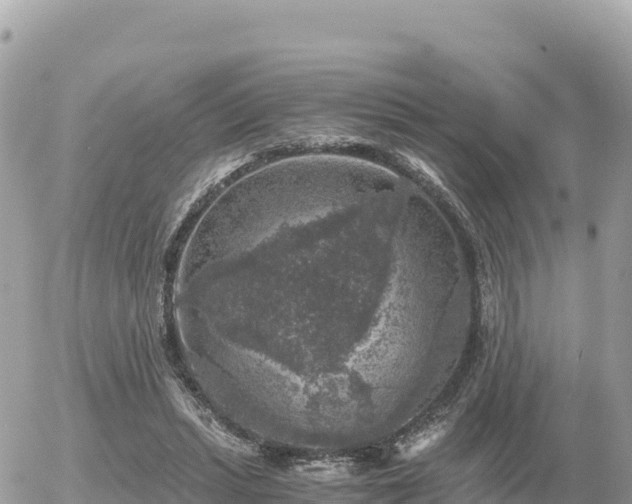 X0000056000447200508261754