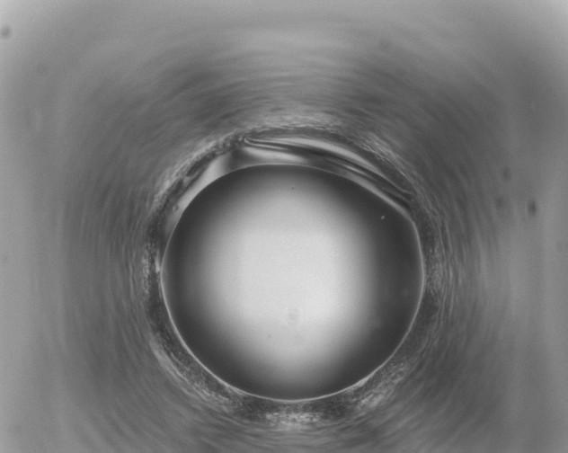 X0000056000448200508261754