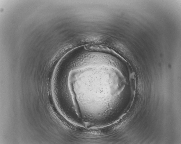 X0000056000449200508261754