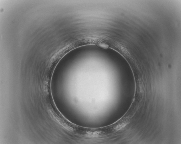 X0000056000450200508261754