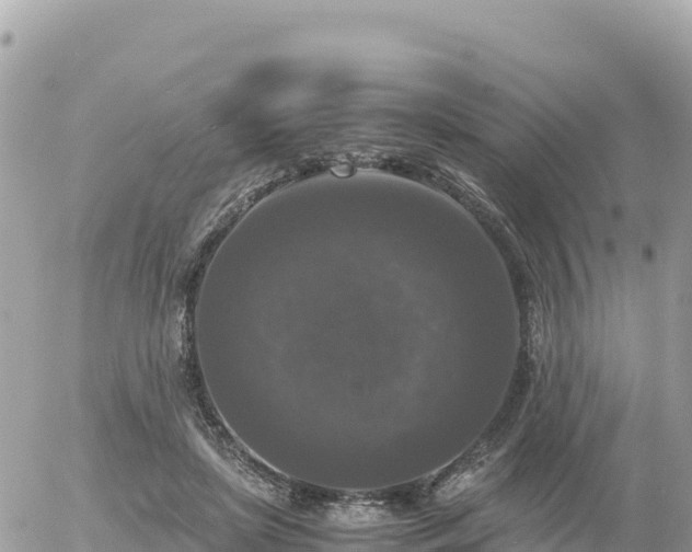 X0000056000451200508261754