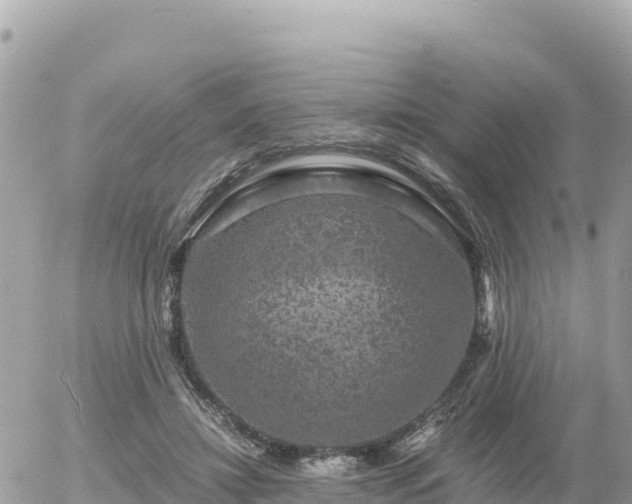 X0000056000452200508261754