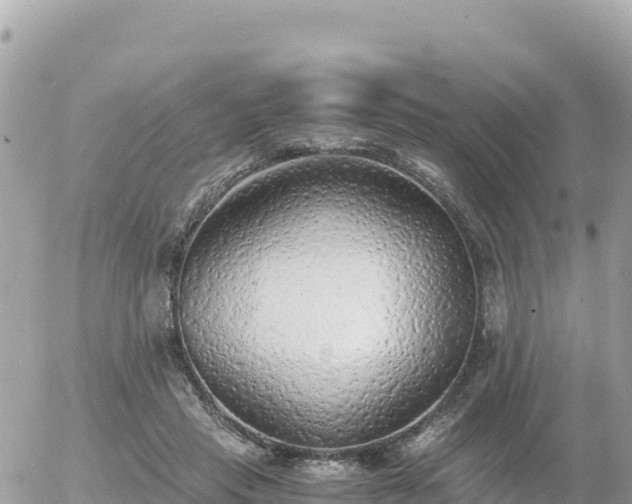 X0000056000453200508261754