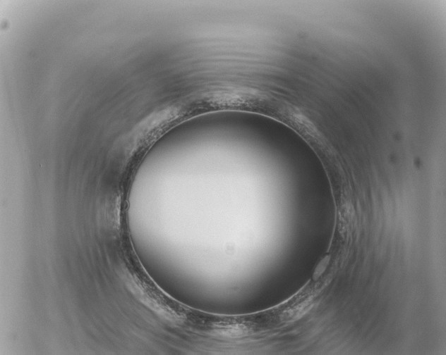 X0000056000454200508261754