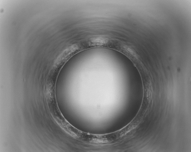 X0000056000455200508261754