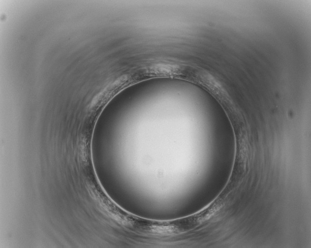 X0000056000457200508261754