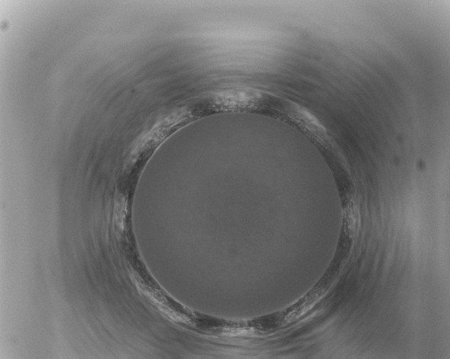 X0000056000458200508261754