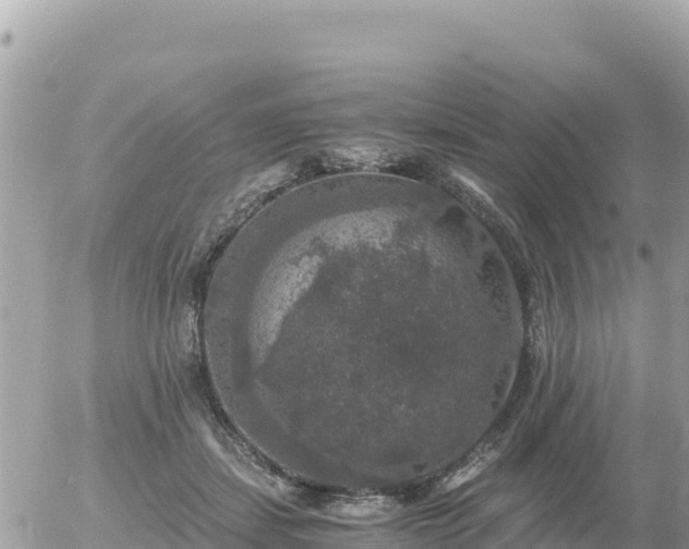 X0000056000459200508261754