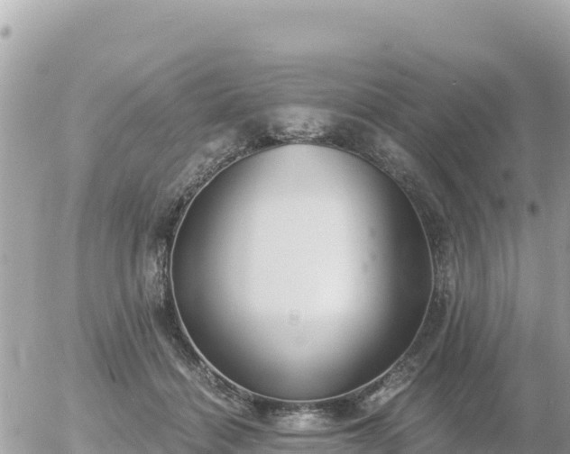 X0000056000460200508261754